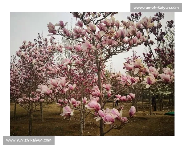 民族团结之花盛开 北京喜迎民族健身操全国赛